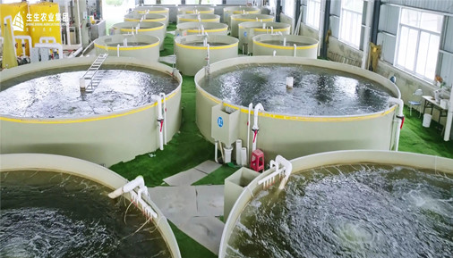 水产品年产超10万吨、供港澳活鱼年销超10亿、帮扶超1万户农户产出数十亿……新永利平台如何与全产业链实现相互赋能？