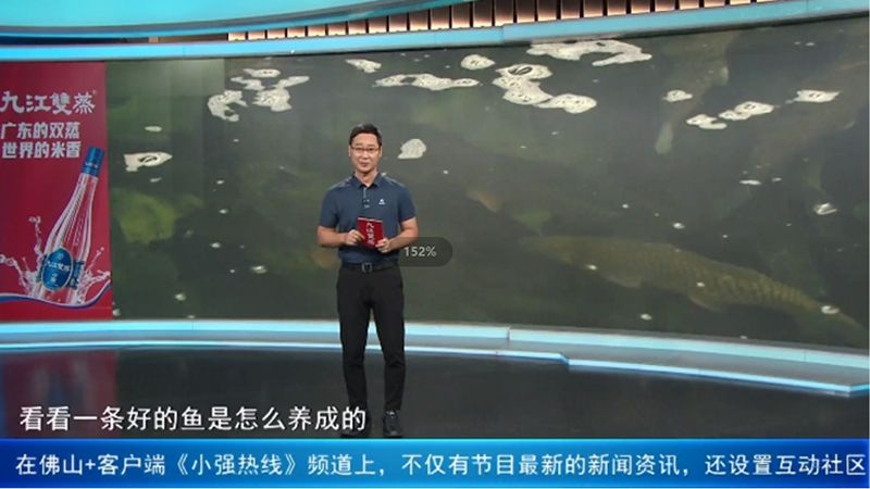 《小强热线》探访顺德新永利平台，揭秘一条好的鱼是怎么养成的