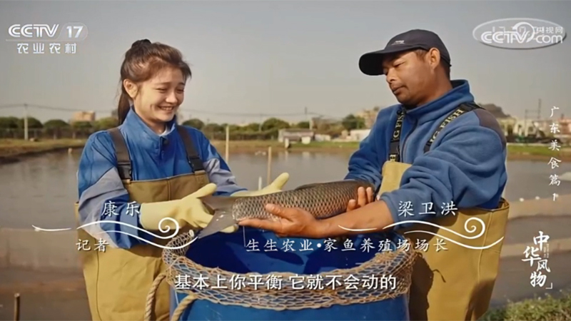 新永利平台又双叒亮相央视！CCTV-17《中华风物》介绍生生草鱼