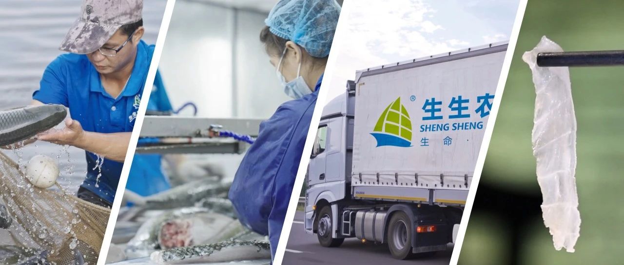 守护餐桌安全，解锁新永利平台的食品安全密码