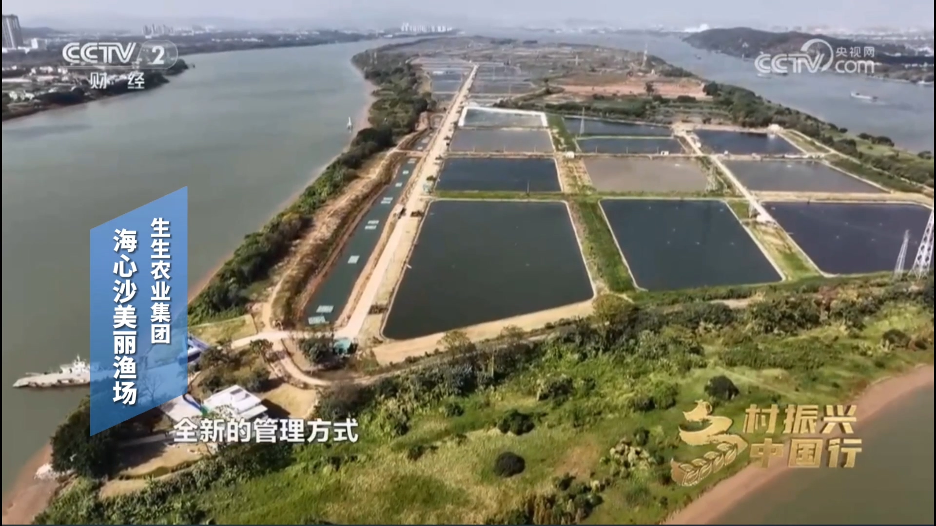 新永利平台登上央视CCTV-2《乡村振兴中国行》